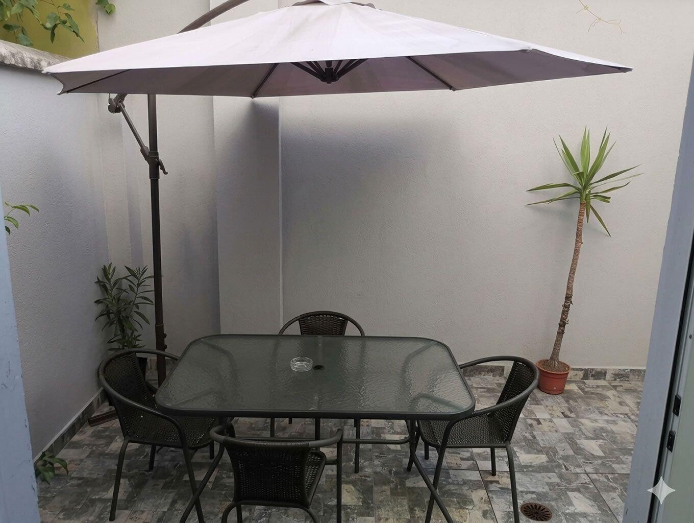 Mesa de vidrio con cuatro sillas, una sombrilla y una planta en maceta en un patio.