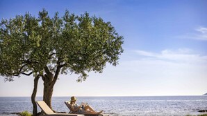 Escena en la playa con una persona leyendo bajo un árbol, dos tumbonas y vistas al mar.