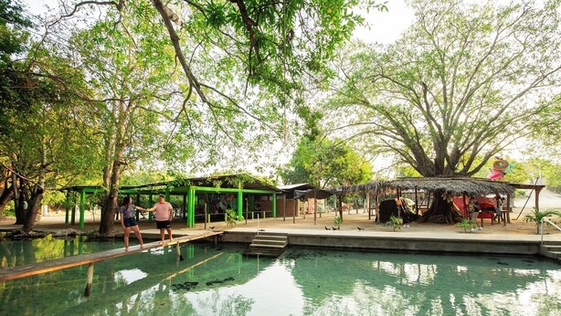 A pool area with a wooden deck, green structures, and trees. - Hospedaje ojo de agua (Santiago Laollaga)