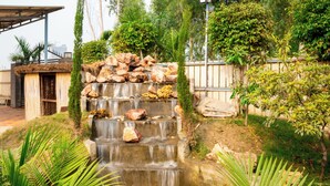 Une cascade d’eau se déversant sur une série de marches en pierre, le tout entouré d’une végétation luxuriante et agrémenté d’une petite construction en bois.