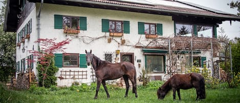 Ulkopuoli