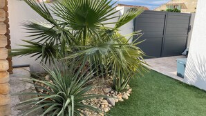 Um jardim com uma palmeira, um muro de pedra e um portão cinza.