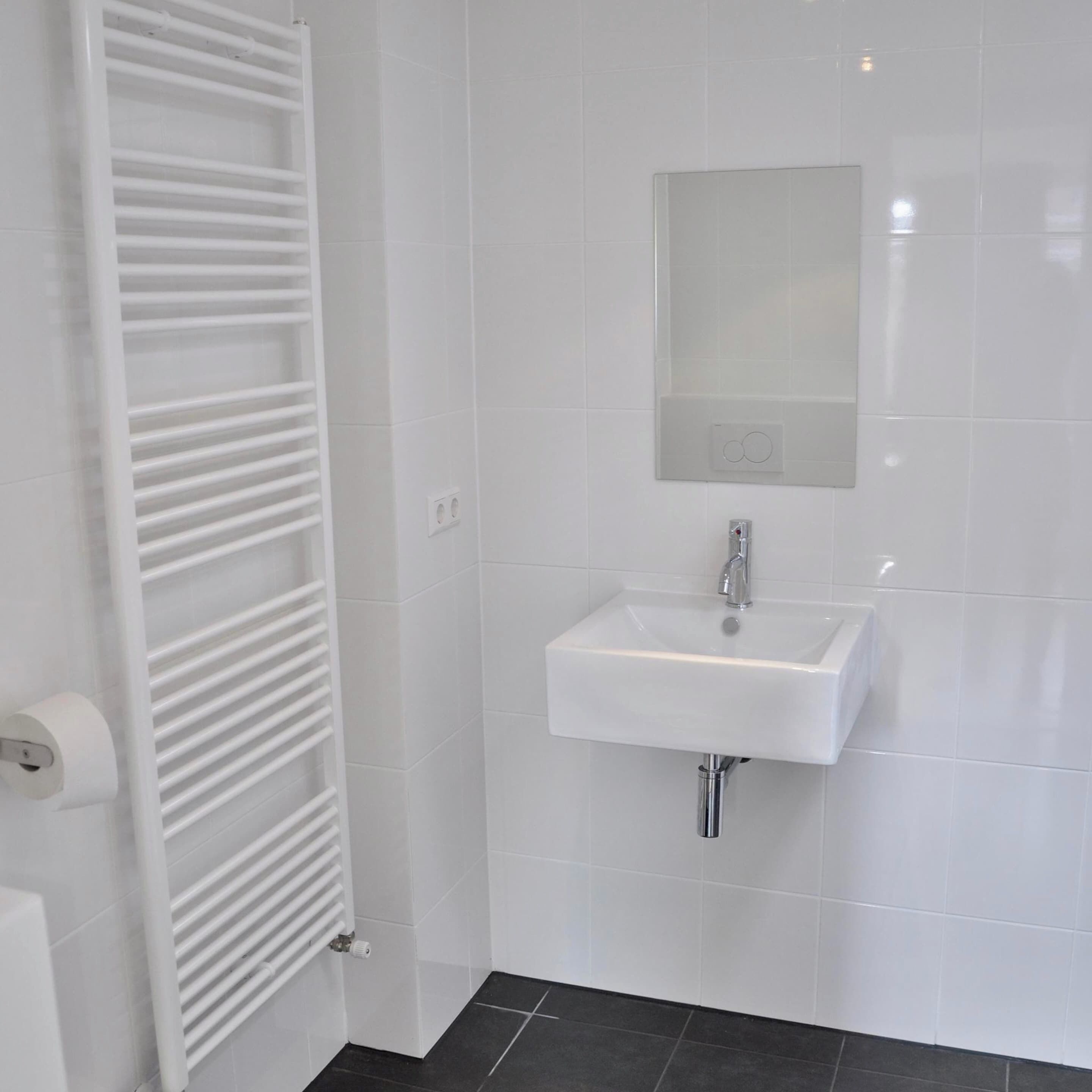 Un bagno con termosifone bianco, lavandino e specchio.