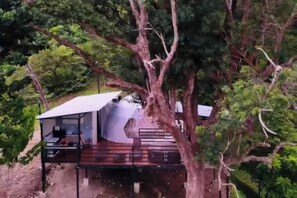 المنشأة من الخارج