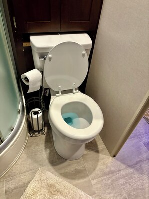 Shower, towels, soap, toilet paper