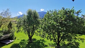A grassy field with trees and a mountain in the background. - Kilian Reiter vacation apartment (Ruhpolding)