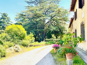 A rural road leading to a building with a stone facade, surrounded by lush greenery and flowering plants. - Villa la scuderia quite luxury, pool and private garden near Florence (Toscana)