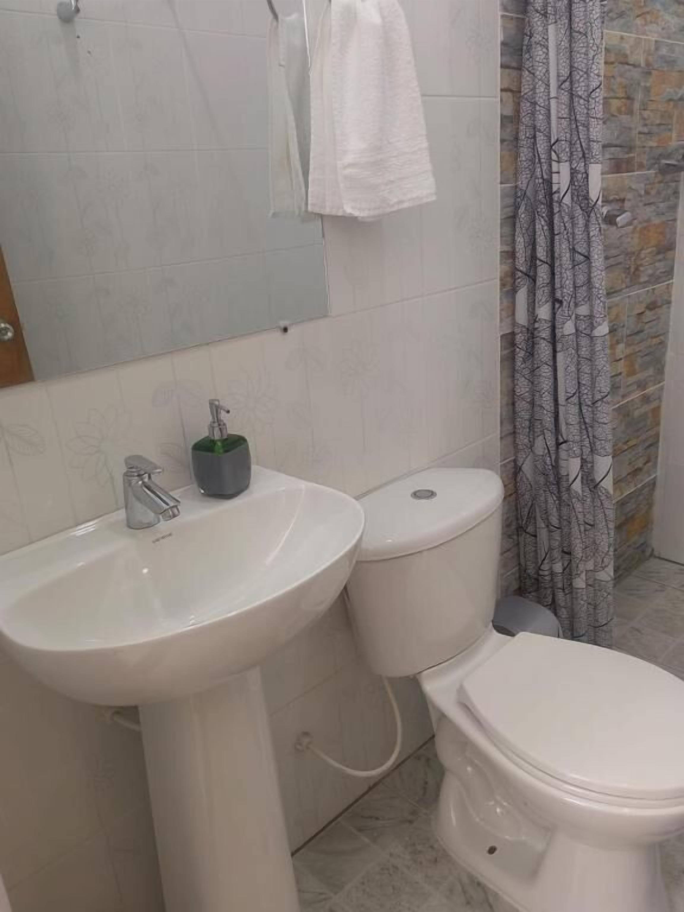 A bathroom with a sink, toilet, and shower curtain.