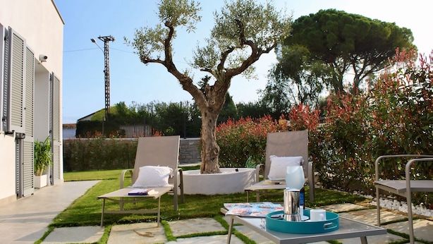 Eine Terrasse mit zwei Liegestühlen, einem Tisch mit Tablett und einem Baum in der Mitte.