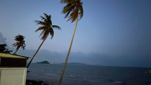 A coastal scene with palm trees, a building, and a view of the sea. - Sook Beach House, Paknam Chumphon (Tambon Pak Nam)