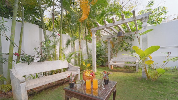 Ein Garten mit einer Bank, einem Tisch mit Getränken und Blumentöpfen.