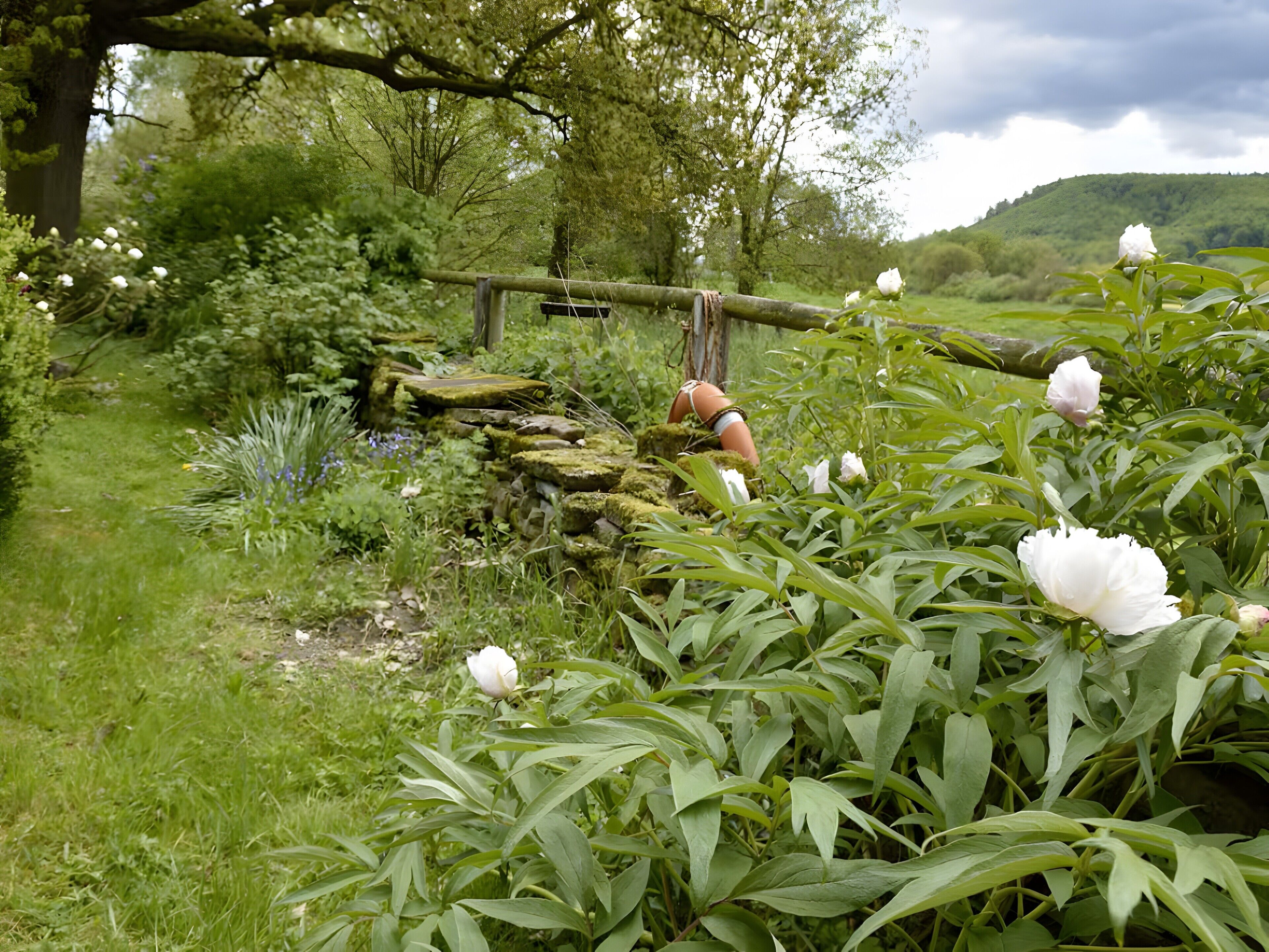 Parco della struttura