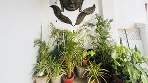 Una habitación con una estatua de Buda, luces de techo y plantas en macetas.
