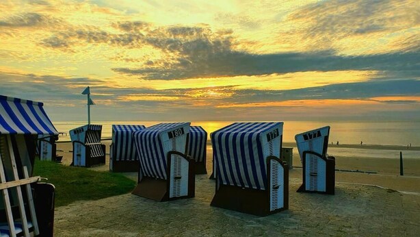 Beachside lounge chairs with numbers, a grassy area, and a view of the sea. - Seemoi (Norderney)