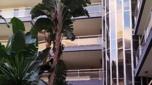 Un edificio de varios pisos con un atrio central, rodeado de abundante vegetación y plantas en macetas.