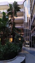Un edificio a più piani con un atrio centrale, circondato da piante rigogliose e vasi di fiori.