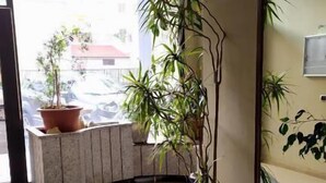 Vestíbulo de hotel con plantas en macetas, un espejo grande y un suelo de baldosas curvas.