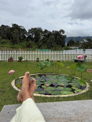 A person's feet resting on a stone ledge overlooking a pond with lotus flowers and a white picket fence in the background. - Deer Meadows  (Mudumalai)