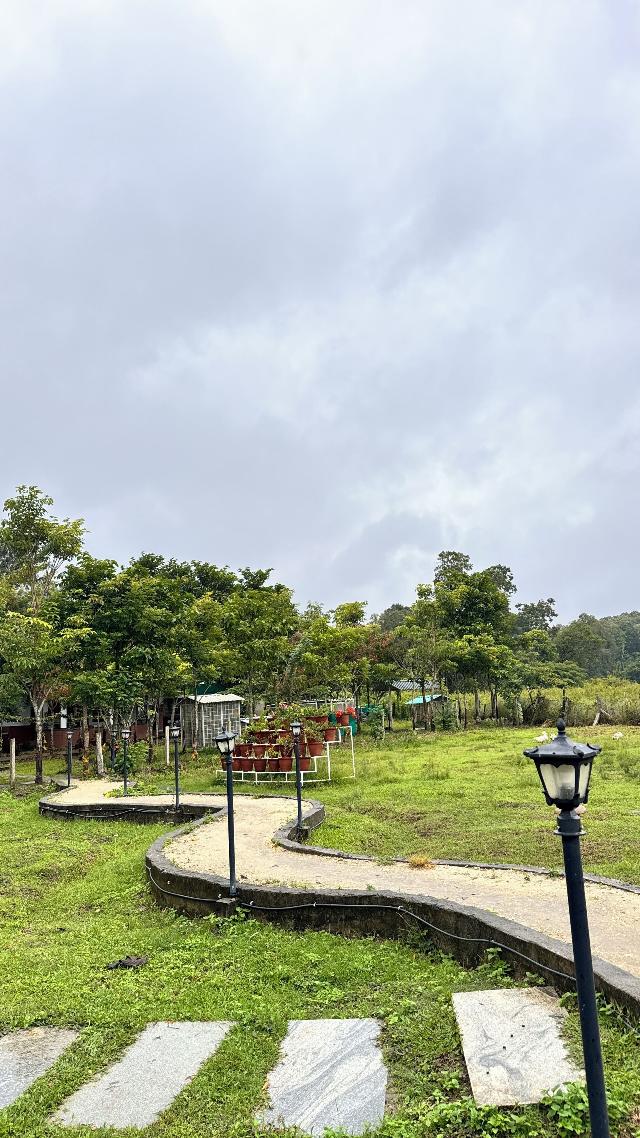 A park with a paved walkway, a lamp post, and a variety of greenery.