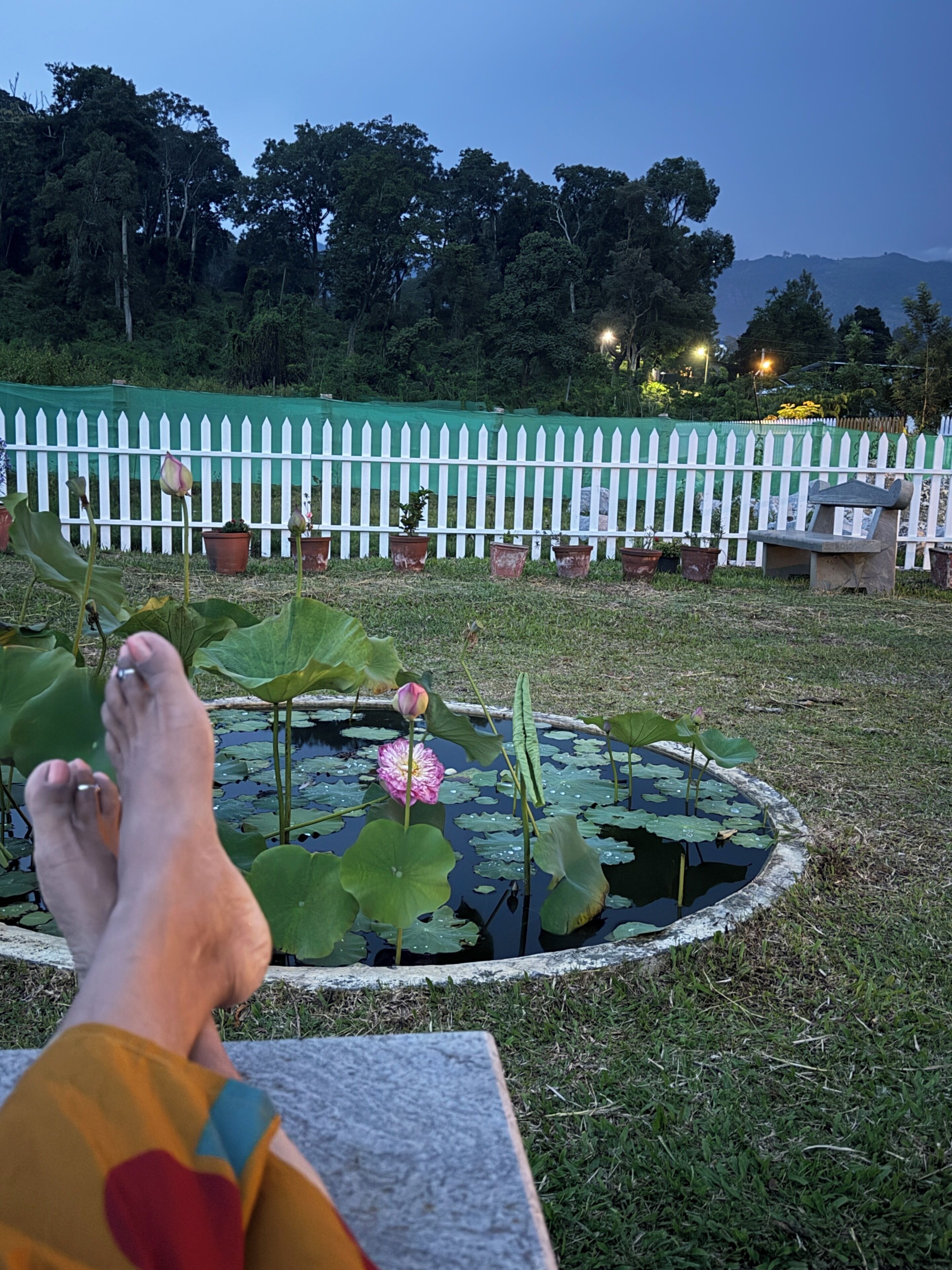 Un giardino con uno stagno, una recinzione in legno bianco e una panchina in pietra.