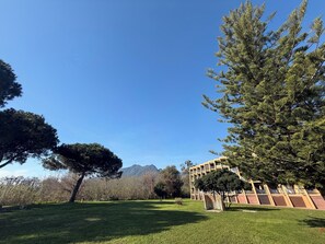 A grassy field with trees and a building with a flat roof. - Studio sea & mountain view 🌊 - walking distance to beach and shops - Santa Lucia de Moriani (Santa-Lucia-di-Moriani)