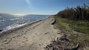 Een strand met een heldere lucht, kalme zee en een rij bomen.