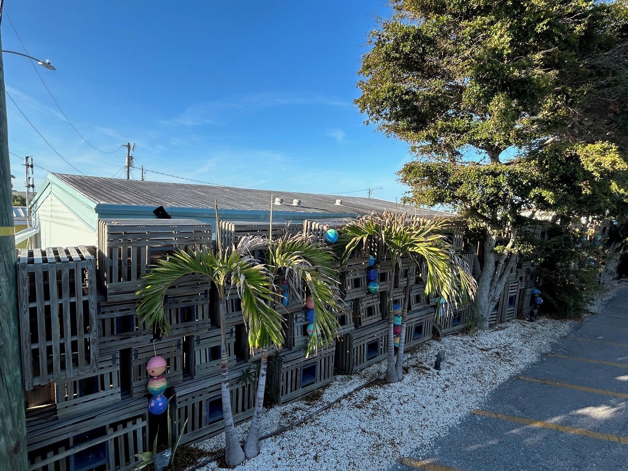 A building with a sloped roof, wooden fences, and a palm tree.
