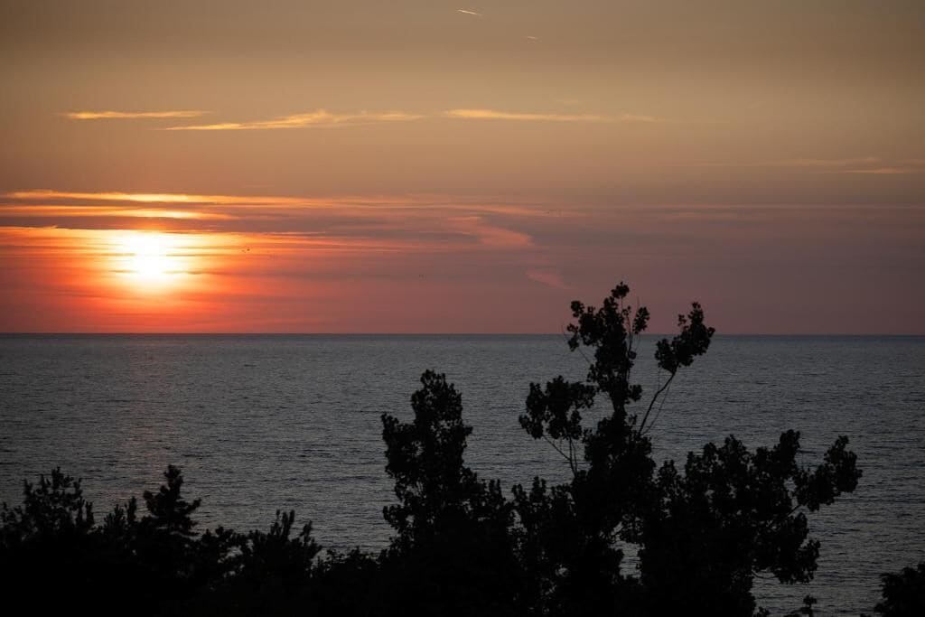 A sunset over the ocean with silhouettes of trees in the foreground.