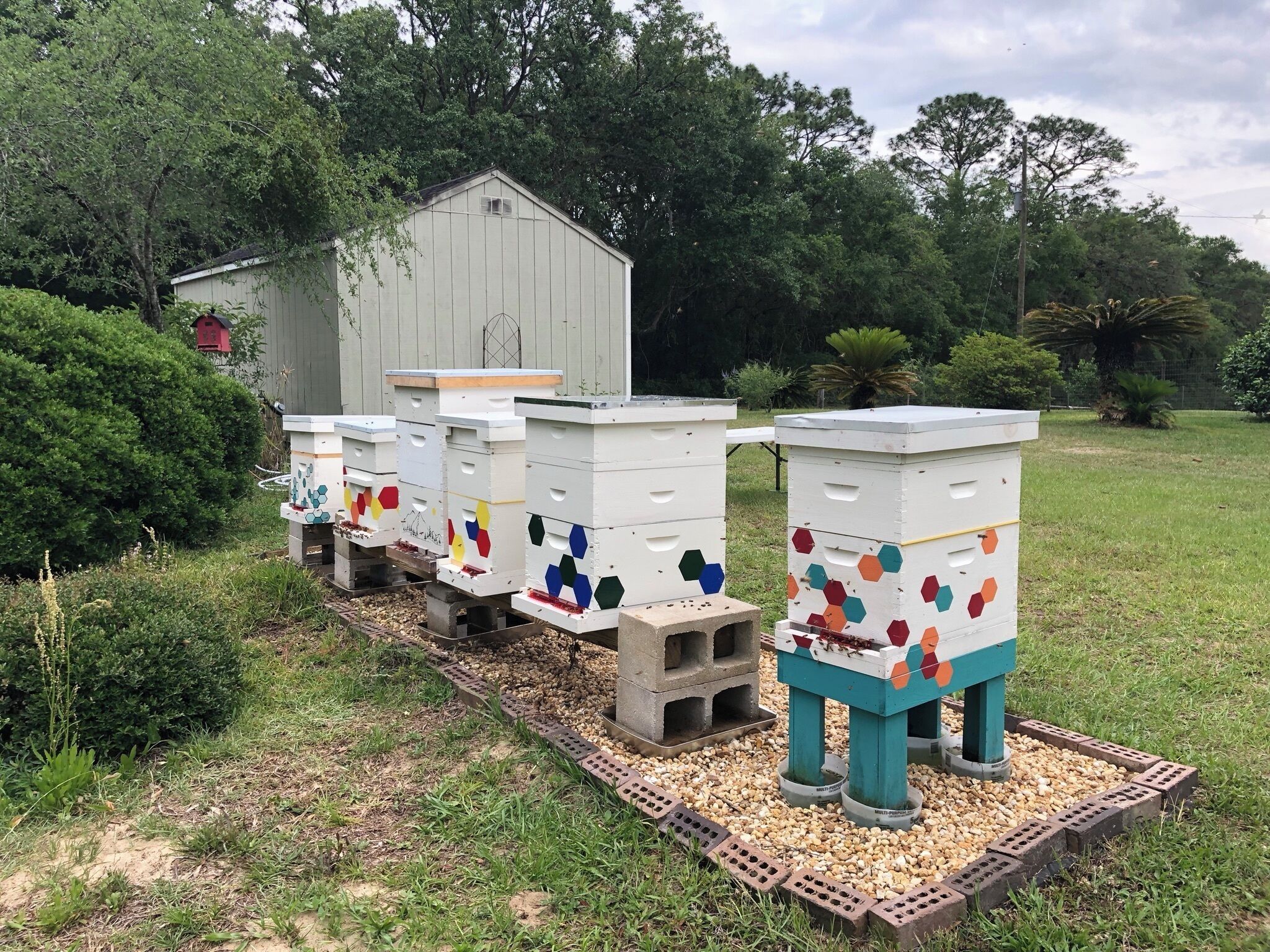 Terrein van de accommodatie