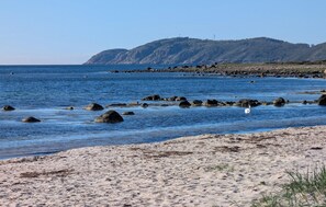 Fishing - 2 bedroom pet friendly home in Höganäs (Höganäs)