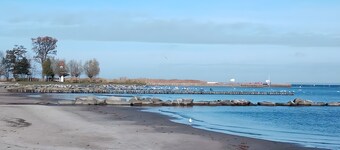 Holiday Apartment for 5 Guests (70 m²) in Eggesin