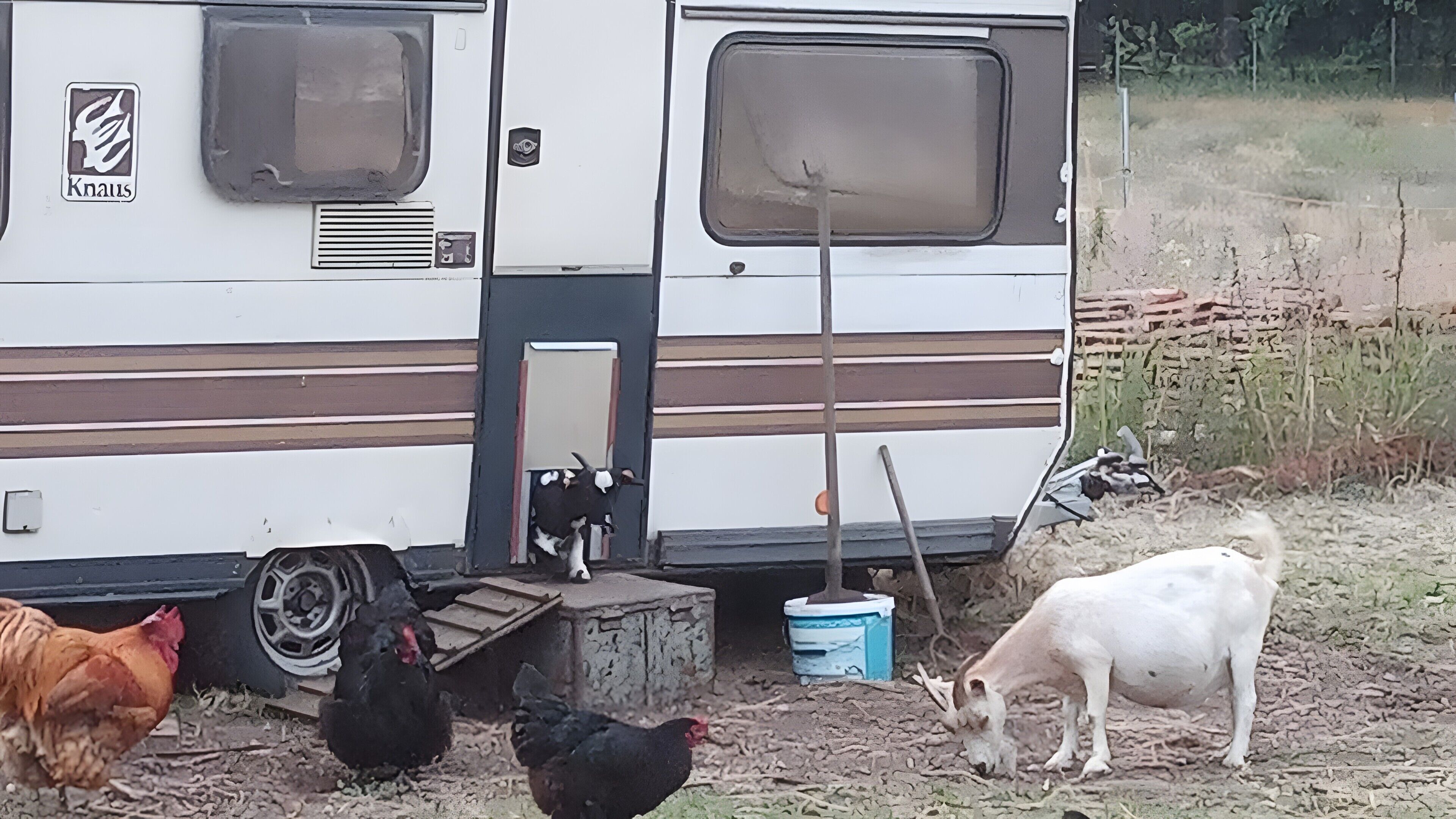 Een witte camper met een streepjespatroon, een kleine helling en een blauwe container.