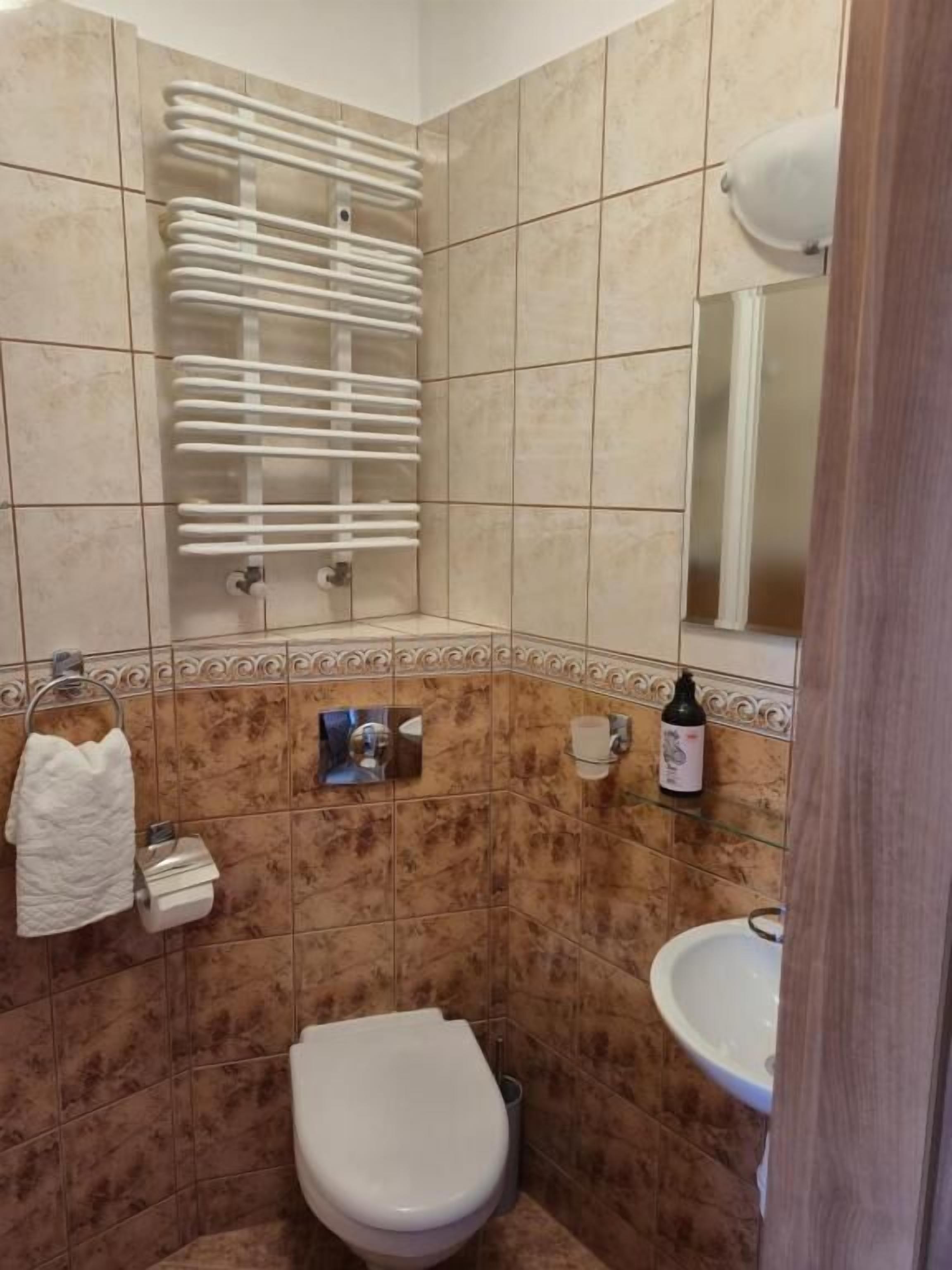 Et badeværelse med toilet, håndvask, håndklædetørrestativ og et spejl.
