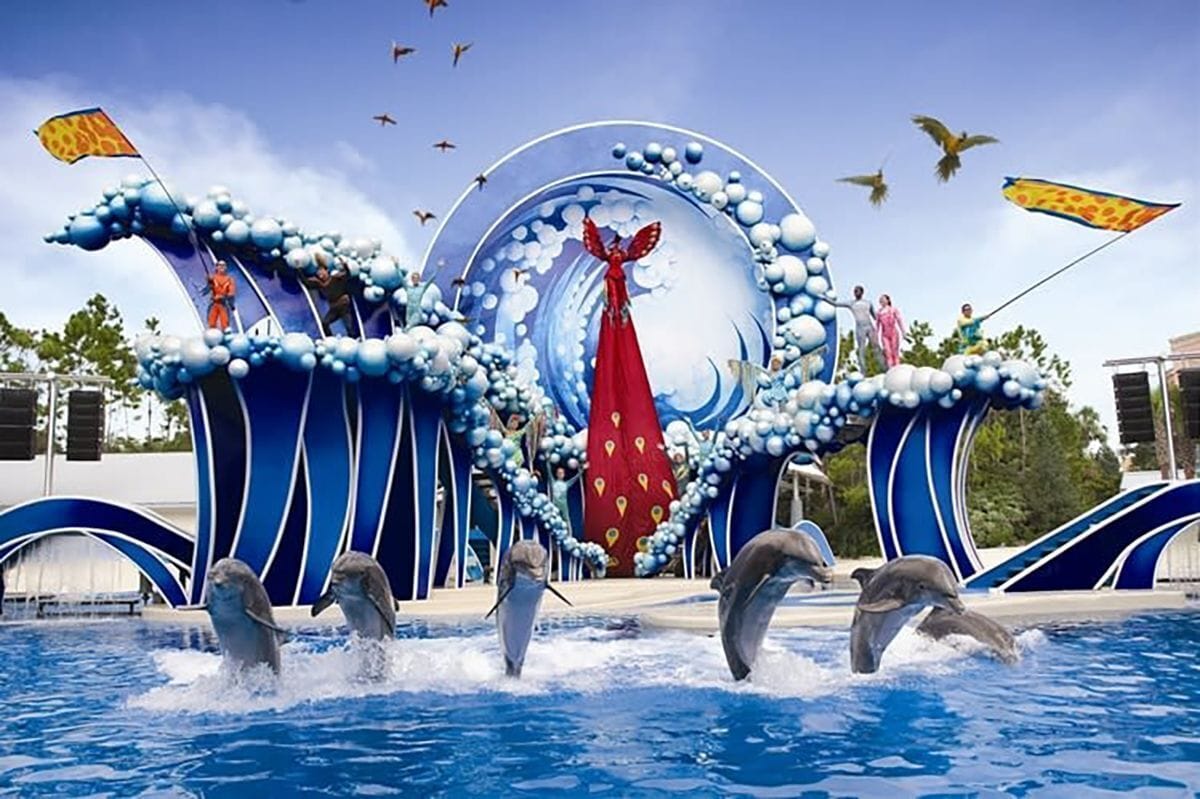 Een dolfijnenshow met een groot, blauw-wit decor en een rode jurk.