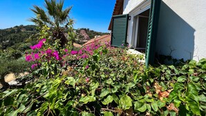 Ein weißes Gebäude mit grünen Fensterläden, umgeben von üppigem Grün und rosa Blüten.
