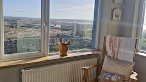 Una habitación con vistas a un paisaje rural a través de amplios ventanales, un radiador debajo y una silla de madera con cojín.