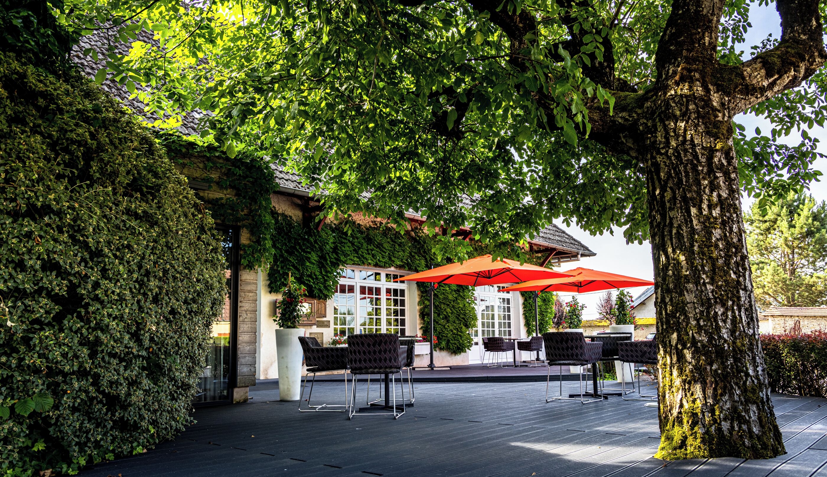 Restaurante al aire libre