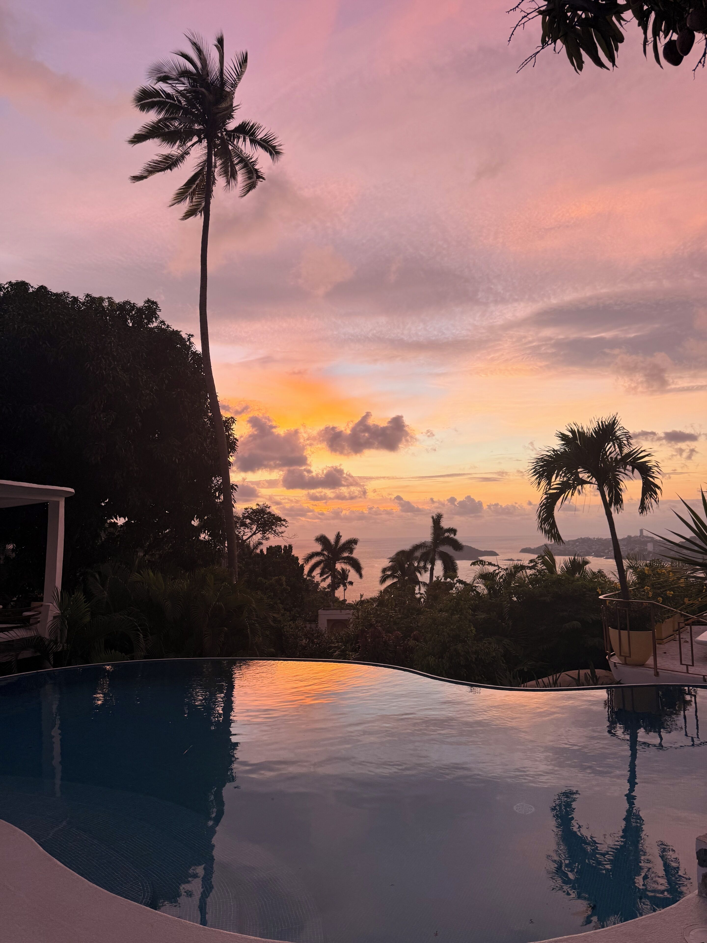 An infinity pool with a sunset view, palm trees, and a distant shoreline.
