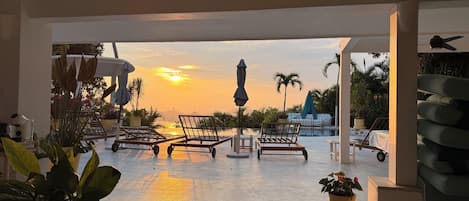 Terraza o patio