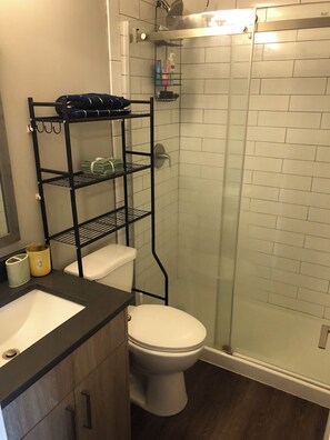 Hair dryer, towels, soap, toilet paper