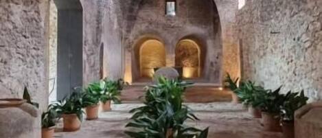 An interior with stone walls, wooden beams, and potted plants.
