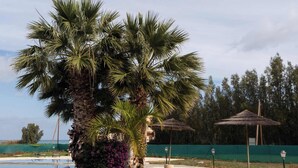 A swimming pool with palm trees, a stone deck, and a view of the surrounding landscape. - Special Launch Price! Amazing Sea View 1BR Villa, Garden & Gym (Polis Chrysochous)