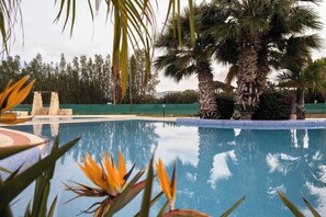 Pool - Special Launch Price! Amazing Sea View 1BR Villa, Garden & Gym (Polis Chrysochous)