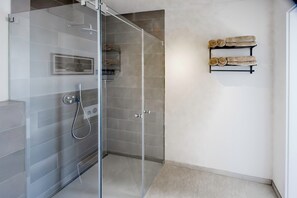 Shower, hair dryer, towels
