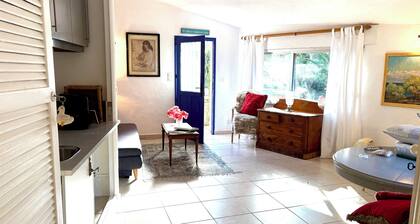 Sweet Pea sunny cottage in Vence with pool garden private parking