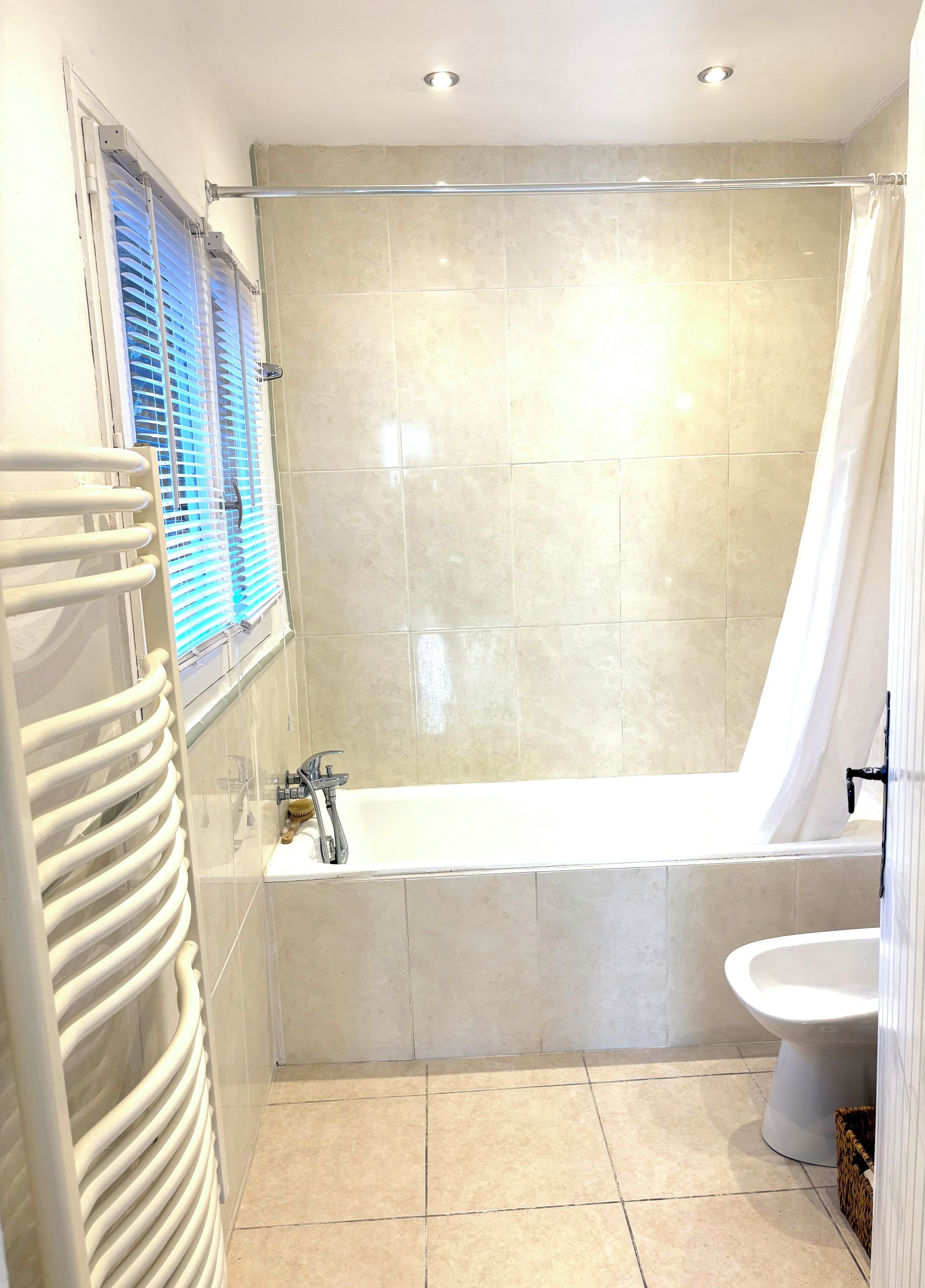 Hair dryer, bidet, towels, soap