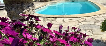 Sweet Pea sunny cottage in Vence with pool garden private parking