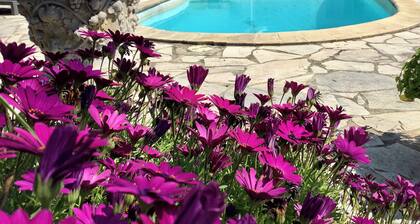 Sweet Pea sunny cottage in Vence with pool garden private parking