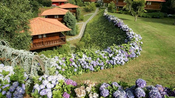 Een rij houten vakantiehuisjes met rode daken, omgeven door een tuin vol hortensia’s.