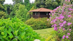 Een klein huis met pannendak, omringd door weelderige begroeiing en bloeiende planten.